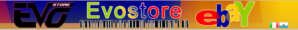 banner evostore