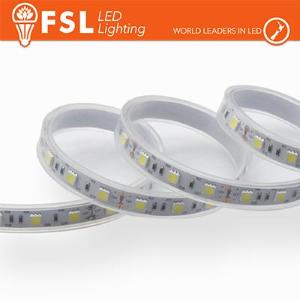 SMD5050 Striscia LED 5m IP65 5050 24V - 12W/m 60led/m 3000K