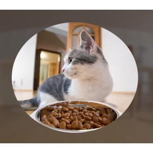 IMOU Dispenser Smart di cibo per animali 4L con telecamera FISH EYE
