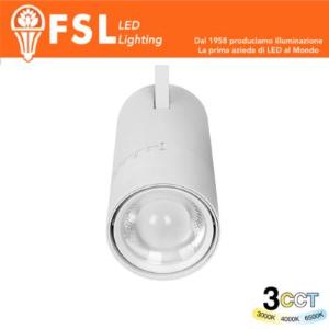 FSL Proiettore LED a Binario Trifase Zoomabile - 3 in 1 CCT (3000-4000-6500K) Bianco