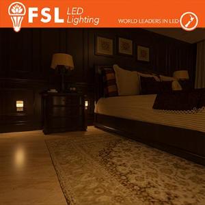 FSL Luce notturna quadrata con sensore di movimento bispina con espositore