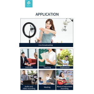 Microfono per Smartphone a filo con connettore Tipo-C
