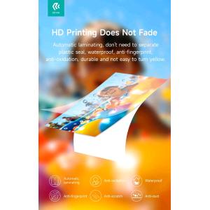 STAMPANTE TERMICA a SUBLIMAZIONE + set pellicole e Toner