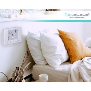 HomCloud Cronotermostato digitale wi-fi