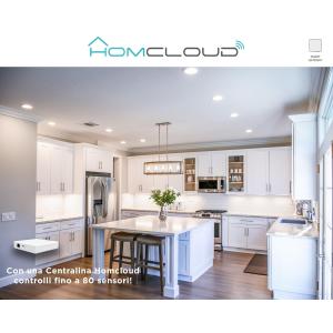 HomCloud Centralina intelligente Hub - Zigbee + Bluetooth