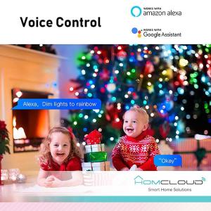 HomCloud Stringa di Luci decorative a Led Smart OUTDOOR RGB-IC Wi-Fi+Bluetooth 10M IP65