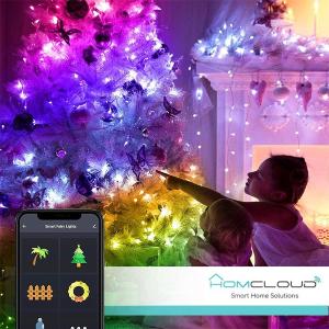 HomCloud Stringa di 200 Luci decorative Smart a Led RGB-IC Wi-Fi+Blue