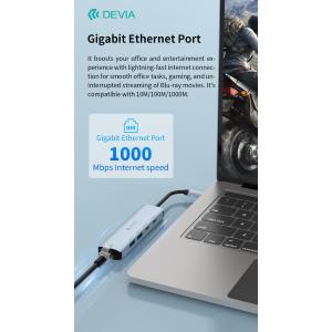 Devia HUB 5 in 1 da tipo C a USB*2+tipo C+PD 100 W+RJ45 serie Leopard