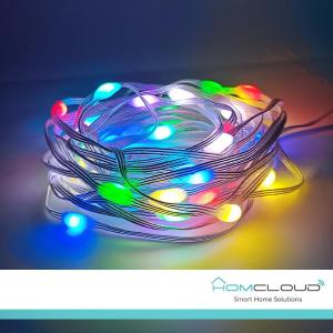 HomCloud Corda in PVC di luci Decorative Smart a filamento Wi-Fi + Bluetooth 10M IP65
