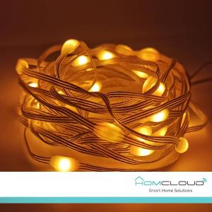 HomCloud Corda in PVC di luci Decorative Smart a filamento Wi-Fi + Bluetooth 10M IP65