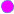 MAGENTA LIGHT